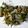 bhagyaherbals