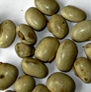 bhagyaherbals