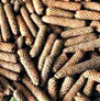 bhagyaherbals