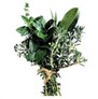 bhagyaherbals