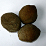 bhagyaherbals